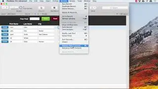 Filemaker Pro Custom Find fields