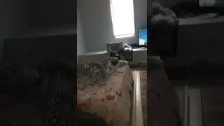 Мем из тик тока 
