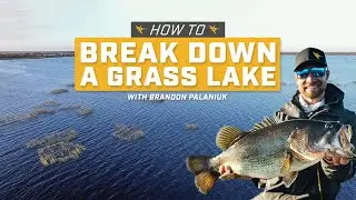 How to Break Down a Grass Lake [Aerial Imagery Tips for Bass Fishing]