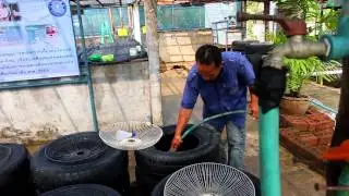 ปราชญ์แม่โจ้ - ตอน การเลี้ยงกบคอนโดร่วมกับปลาดุก