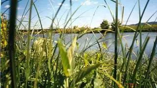 На Грушинском.wmv