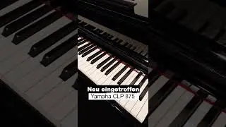 Neuheit im Laden - Yamaha CLP 875