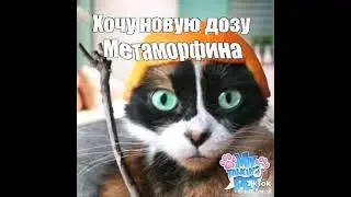 Нелукин пидр