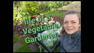 Life of a Vegetable Gardener (part 1)