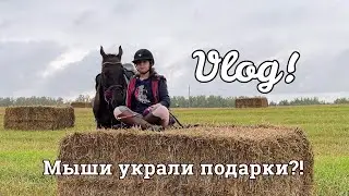 Vlog! День рождения на конюшне!
