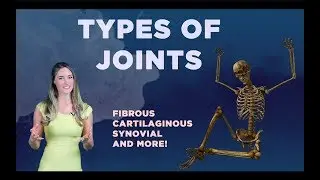 Types of Joints:  Synovial, Fibrous, Cartilaginous