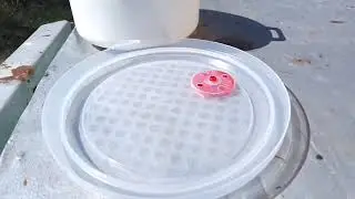 Как собрать пыльцу.