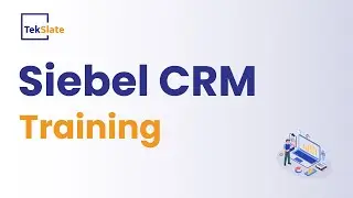 Siebel CRM Training | Siebel CRM Online Certification Course [ Siebel CRM Demo Video ] - TekSlate