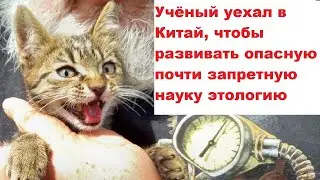 Учёный уехал в Китай, чтобы развивать опасную почти запретную науку этологию