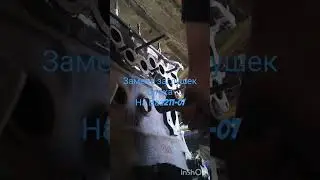 1 ноября 2023 г.