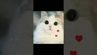 ♥️ Удачи 