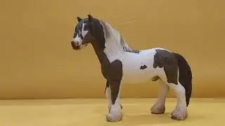 Обзор лошадей часть 1