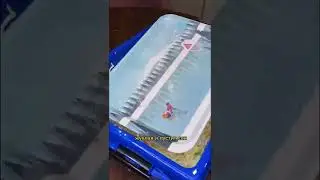 Квашеная капуста. Самый простой способ!