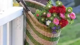 Slavyansk. August 3, 2023. It's hot! News from the chicken coop and what's new for dinner.‼️