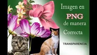 Seleccionar imagenes PNG de manera adecuada y truco de lupa ZOOM Ps Seriwool