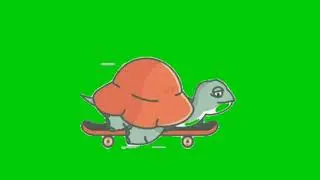 Turtle green screen animation| Editer G