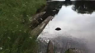 Стратегический запас страны