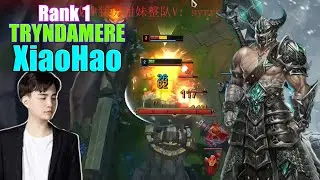 RANK 1 TRYNDAMERE - XIAOHAO TRYNDAMERE VS MALPHITE - XIAOHAO STREAM