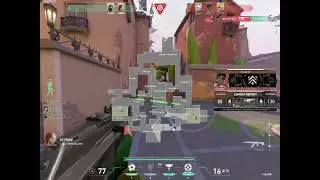Tenisha carrying the boys
