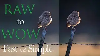 Raw to Wow FAST in Adobe Lightroom