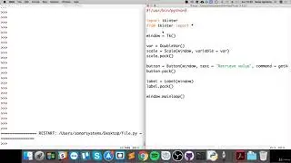 77- Easy Python Programming Scale
