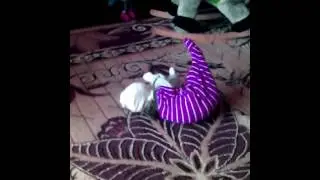 Мама и Василина издеваются над котом