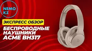 Экспресс обзор наушников Acme BH317!