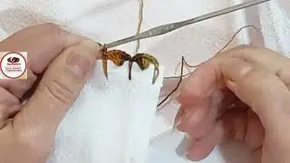 Bico de crochê carreira única - fácil e rápido para iniciantes