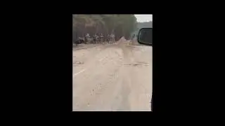Трофейний танк проти товстолобих москалів
