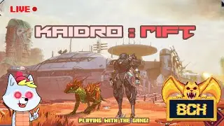 Live: Kaidro Gaming!