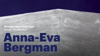 TEASER Anna-Eva Bergman | Musée d'Art Moderne de Paris