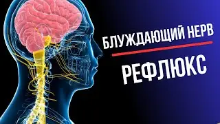 Рефлюкс. Блуждающий нерв
