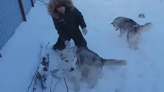 Шёл 18 день весны...