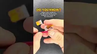 Did You Know About This Wago feature?