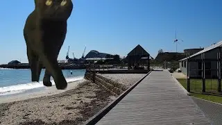 Catzilla, The Giant Shadow Terrorises Perth, part 3