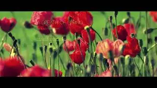 A Breath of Spring