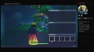 Fortnite solo