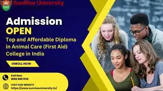 Admission Open for ✔  Diploma in Animal Care (First Aid)