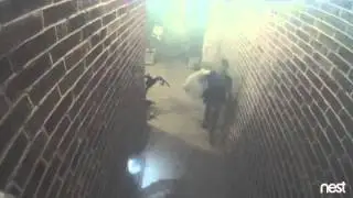 My New Clip