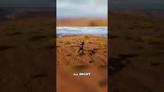 Jumping Over the Grand Canyon: The Ultimate Adventure Game