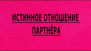 ИСТИННОЕ ОТНОШЕНИЕ 4 ЁХ КОРОЛЕЙ