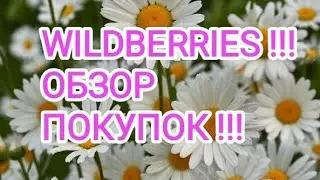 ВАЙЛДБЕРРИЗ !!! ЛУЧШИЕ , БЮДЖЕТНЫЕ НАХОДКИ !!!