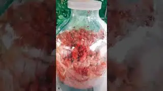 малинове вино