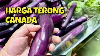 HARGA TERKINI TERONG & TOGE  di Canada, BIKIN TANTE NGILU