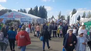 #МАЗ 65012J #зерновоз #КИНЕЛЬ 2022
