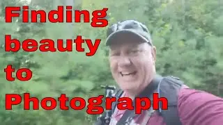 Everyday Moments: Capturing Beauty Through Photography