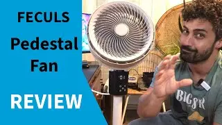 Just what you want to know: The Feculs Pedestal Fan