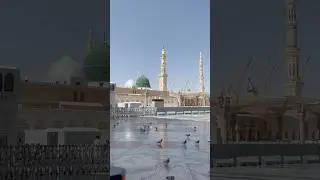 The Surprising Lost History of Eid Milad Un Nabi #shorts #ytshorts