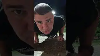 Vencendo a obesidade
