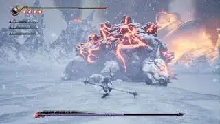 NINJA GAIDEN 2 Black　超忍穿山甲bug